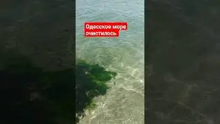 Вода в одесском море очистилась: Одесса 15.07.23 #одесса #україна #море  #odessa