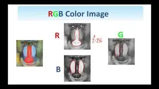 2.  Digital Image Processing:  Image and Video Signals