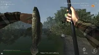 Fishing Planet. Как ловить Ильную рыбу на реке Мадвотер
