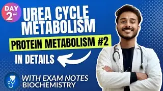 Urea cycle biochemistry | urea synthesis biochemistry |  protein metabolism biochemistry |