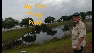 My Fish   Frog Pond Story