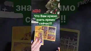 Что вам нужно знать прямо сейчас?!