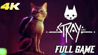 Stray Full Gameplay Walkthrough | 4K 60FPS | No Commentary 🐾