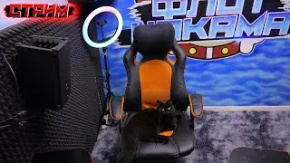🪑 СТРИМ СТУЛА! ВЕЛИЧАЙШИЙ СТРИМЕР ОНЛАЙН! А ты был на стриме стула? (ЧИПУСИК И БУСИНКА гости стрима)