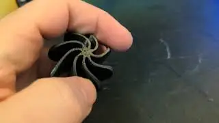 3D Printed Rubber/TPU Cat Toy on my Ender 3