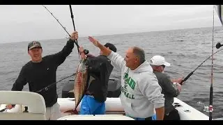 Yellowfin Tuna Hand off ! The Reel Brothers Presents