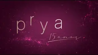INSTITUCIONAL - PRYA 15 ANOS