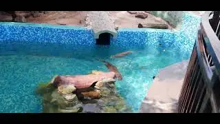 Водные процедуры