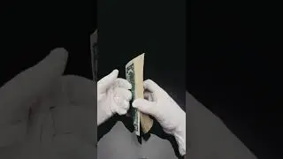 ПРИЯТНЫЙ ХРУСТ ДОЛЛАРА  🤑 🤑 🤑 #dollar #нумизматика #бонистика #коллекционирование #monetnik