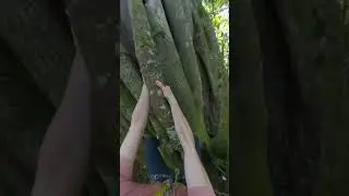 Something I love about scary climbing