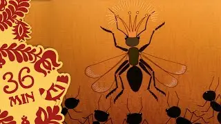 Hungarian Folk Tales compilation - 5 episodes | #47