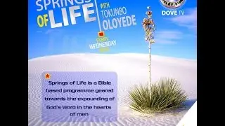 Springs Of Life_Arresting The Arresters