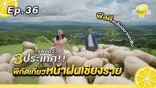 เที่ยวหน้าฝน #เชียงราย l Ep. 36 | 7 ก.ย. 67 l Stardoi Coffee & Farmstay l อาข่า พามิโอ้