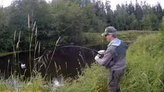 Начало осени на лесной речке