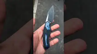 CKF Davless 