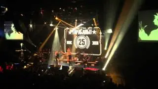 ТАРАКАНЫ! - 