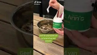 Dr Anns