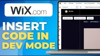 How To Insert Code In Wix In Dev Mode