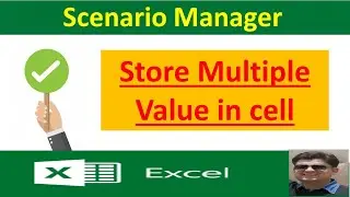 Store multiple values in cell   learn scenario manager step by step Hindi