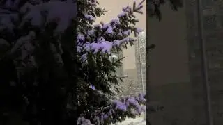 У нас сегодня снег ❄️ Астана 18.04.23