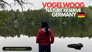 Picnic in Forest of Germany, Vogelwoog,Kaiserslautern || HR13 in Germany