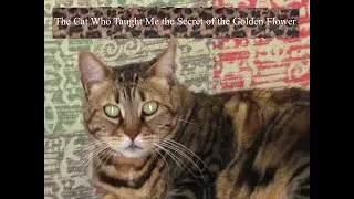 The Cat Who Taught Me the Secret of the Golden Flower