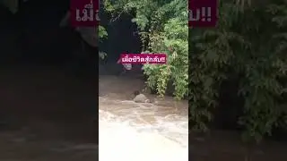 เมื่อชีวิตสู้กลับ #ชีวิตต้องสู้ #ชีวิตในต่างแดน #เกษตรพอเพียง #เที่ยวไทย