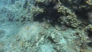 Baja Rosario, El Hierro, Octubre de 2020