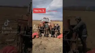 4 июня 2021 г.