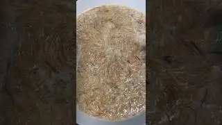 #kheer #trending #recipe #share #love #shorts #like #india #uk #atifaslam