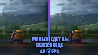 МИНЬОН ЕДЕТ НА ВЕЛОСИПЕДЕ |4K 60FPS|
