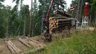 Actros  6x6 Holztransporter
