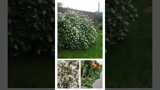 6 соток своими руками
