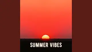 Summer Vibes