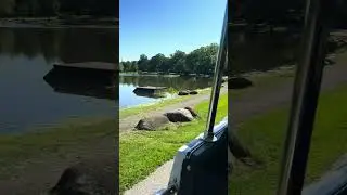 Seneca Park Zoo NY