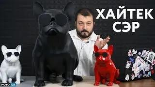 Собака для хайтек-сэра - обзор AEROBULL XS1 и HD