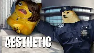 The police are chasing us