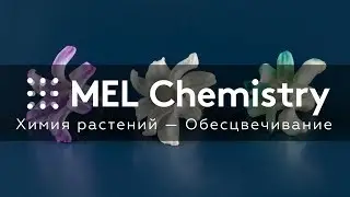 Эксперимент «Обесцвечивание» из набора «Химия растений»