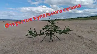 Из Мангальсалы в Вецаки.  Прогулка с купанием.