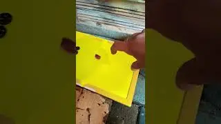 Ловушка в гараже для незваных гостей