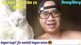 Lepak dengan kucing comel