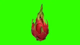 dragon fruit 😍😍 green screen video free download - Free copyright