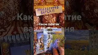 25 сентября 2024 г.