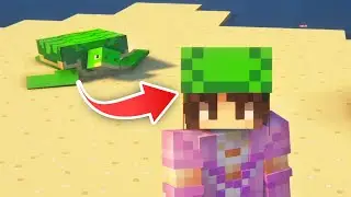 10 AMAZING Facts About Turtles in #Minecraft // How to Find & Hatch Turtle Eggs!
