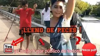 IMPRESIONANTE PESCA en LUGAR PÚBLICO y GRATIS(ABUNDANTE cantidad de PECES )/2020