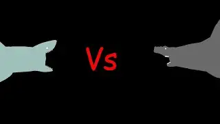 hammerhead shark vs great white shark