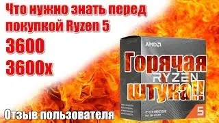 AMD Ryzen 5 3600, 3600x / What you need to know before buying / User review