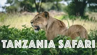 2020 Tanzania Safari 4K - Ngorongoro and Tarangire National Park