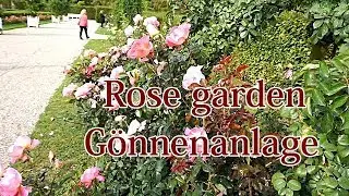 ดอกไม้สวยๆ /สวนกุหลาบในเยอรมัน 🌹🌹/ Rose garden /Die Gönnenanlage /Baden-Baden