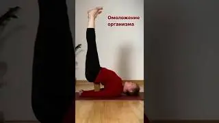Стандарт молодости